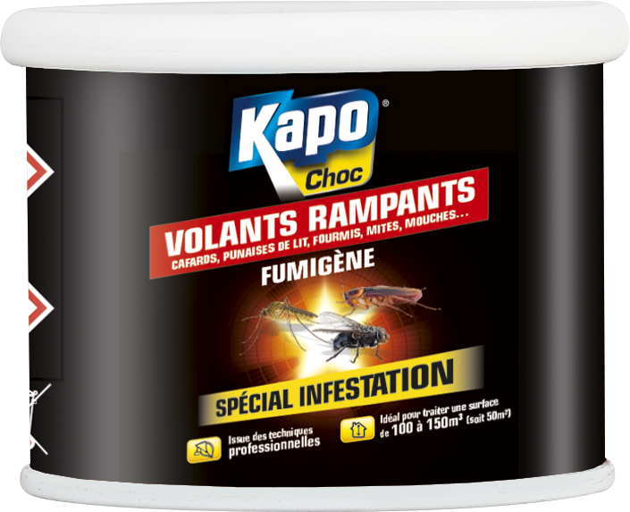 Insecticide Fumigene Tous Insectes Kapo 150m3 Leroy Merlin